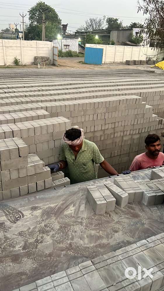 Colllege girls are prefered ..Daily two hours work is maximum