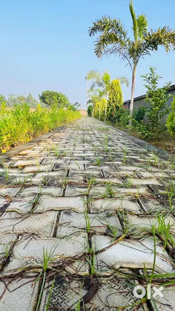 200 गज का प्लॉट कुंदनपुर कृषि ऑफिस के बराबर में दो रास्तों का