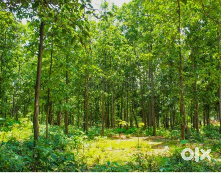 72acres for farmhouse in ANUGUL District