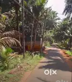 6.25 cent land sale in Poovankudiruppu,near Pazhavilai