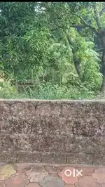10 cent square residencial land for sale in pallikunnu kannur