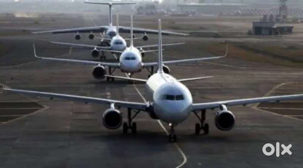 We are hiring for ticketing executive in kanpur airport