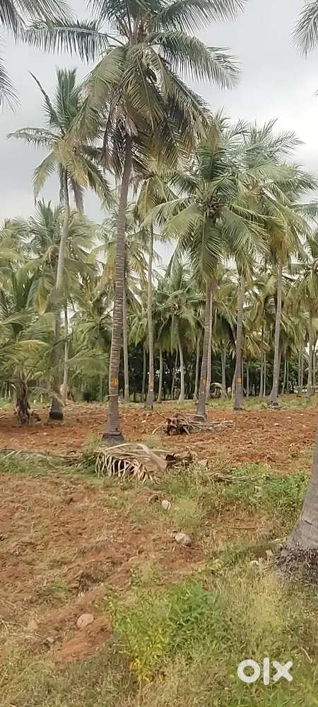 Farmland For Sale