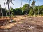 60 cent plot for sale