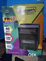 PM40 Stranger amplifier