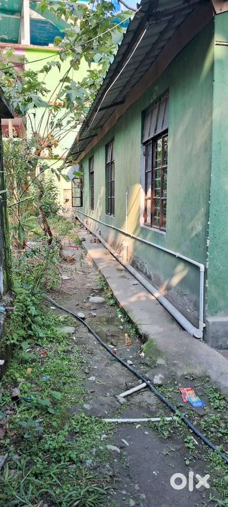 Commercial house with 60 x 50 ft land