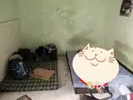 For rent only
