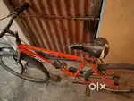 Stryder cycle