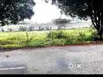 Plot for sale