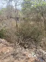480m2 Plot for Sale in Loutlim, South Goa