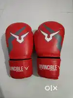 Invincible boxing gloves