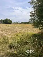 Agricultural land at kumarasirulapakkam