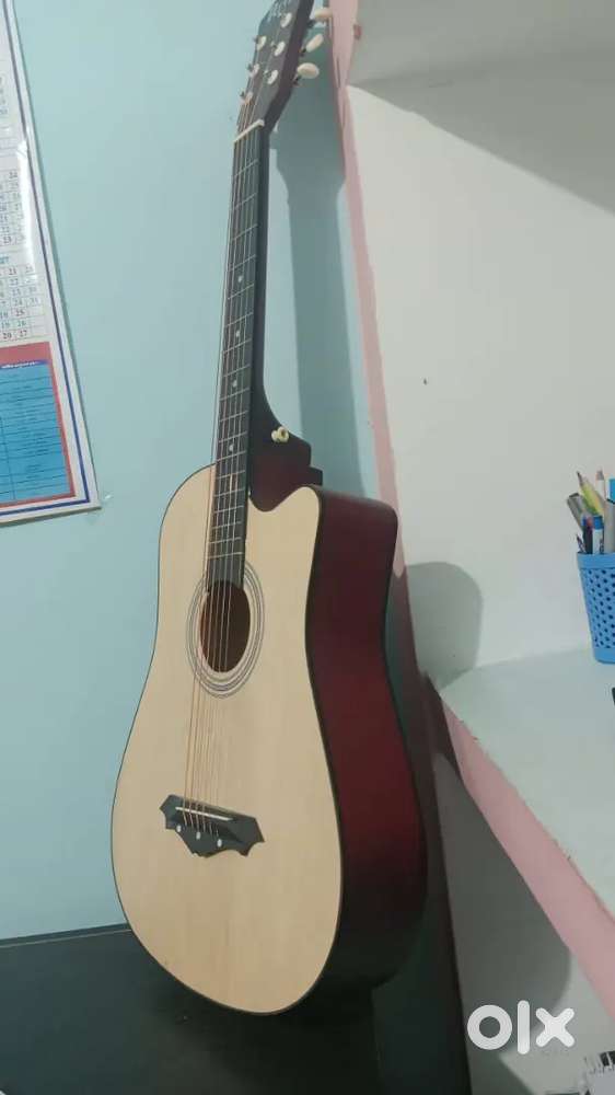 Revel acoustic guitar
