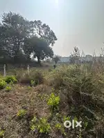105 Acres Land available for outrate at Dindori for 55 lacs per Acres.