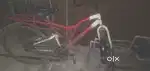 Most rare bicycle. Most lucky she save my life