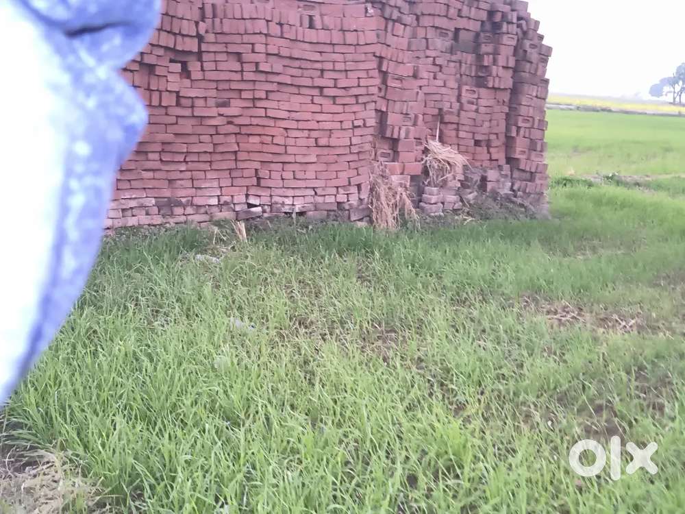 Bricks sell 18000 4.7 per brick