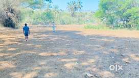 Land For Sale in Palakkad