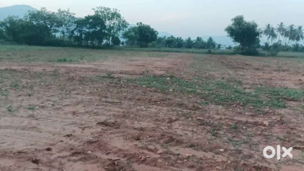 Sale for agriculture land in anthiyur Michal palayam