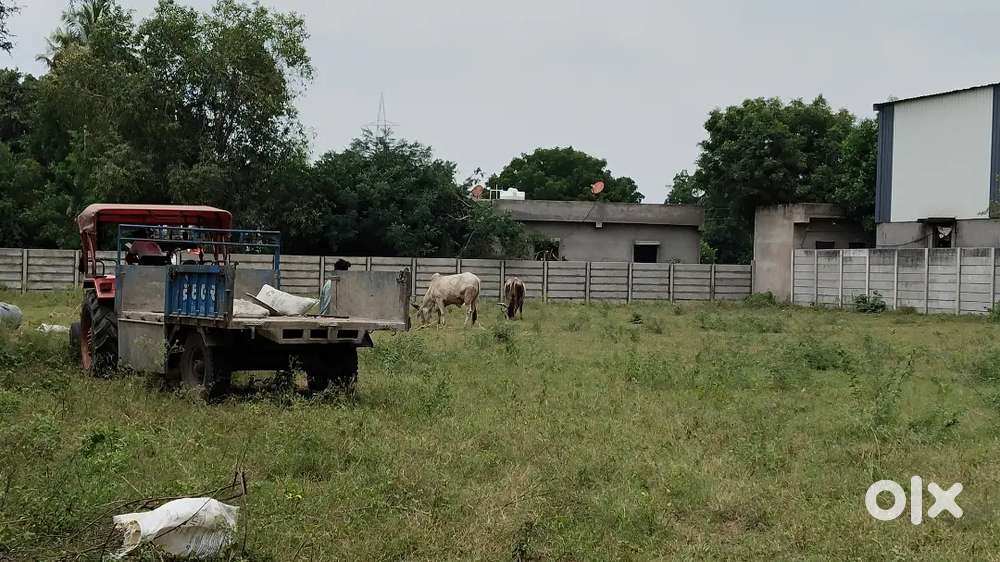 Kabja meter jagya hoy to apavi bhai