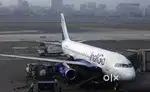Ground Staff jobs in indigo Airlines urgent hiring
