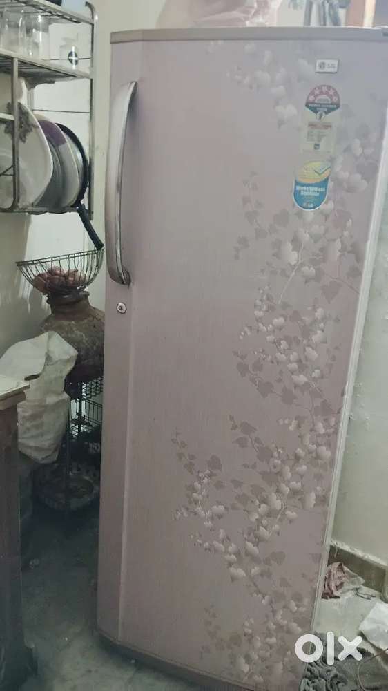 Fridge in gud condition