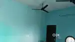 Room available for rent