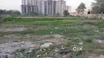 1000 sqyd plot on bhiwadi Alwar expressway