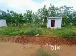 122 square yards plot for sale in bheemili