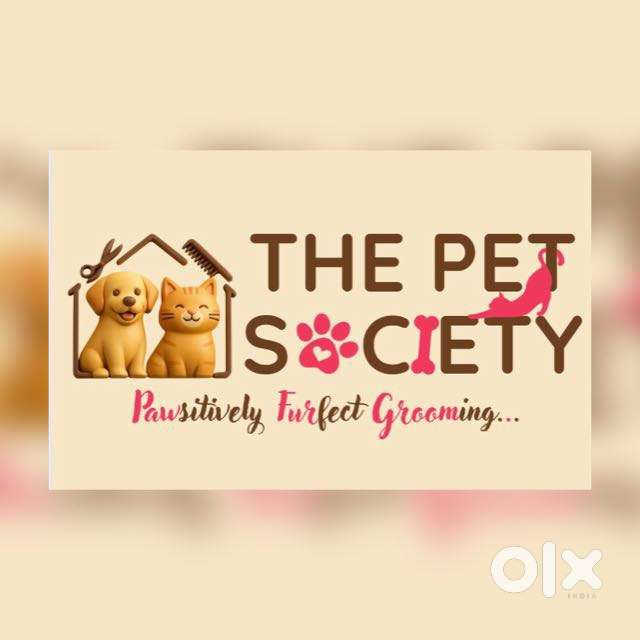 Telecalling Internship for our team