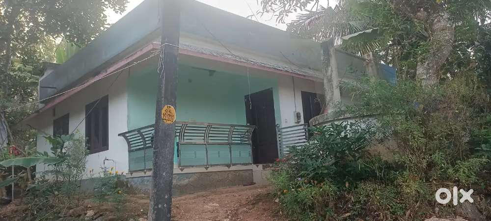 1100 Sqft, 6 Cents House for Sale @ Omalloor