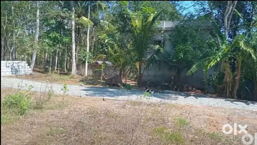 Good atmosphere plot for sale
