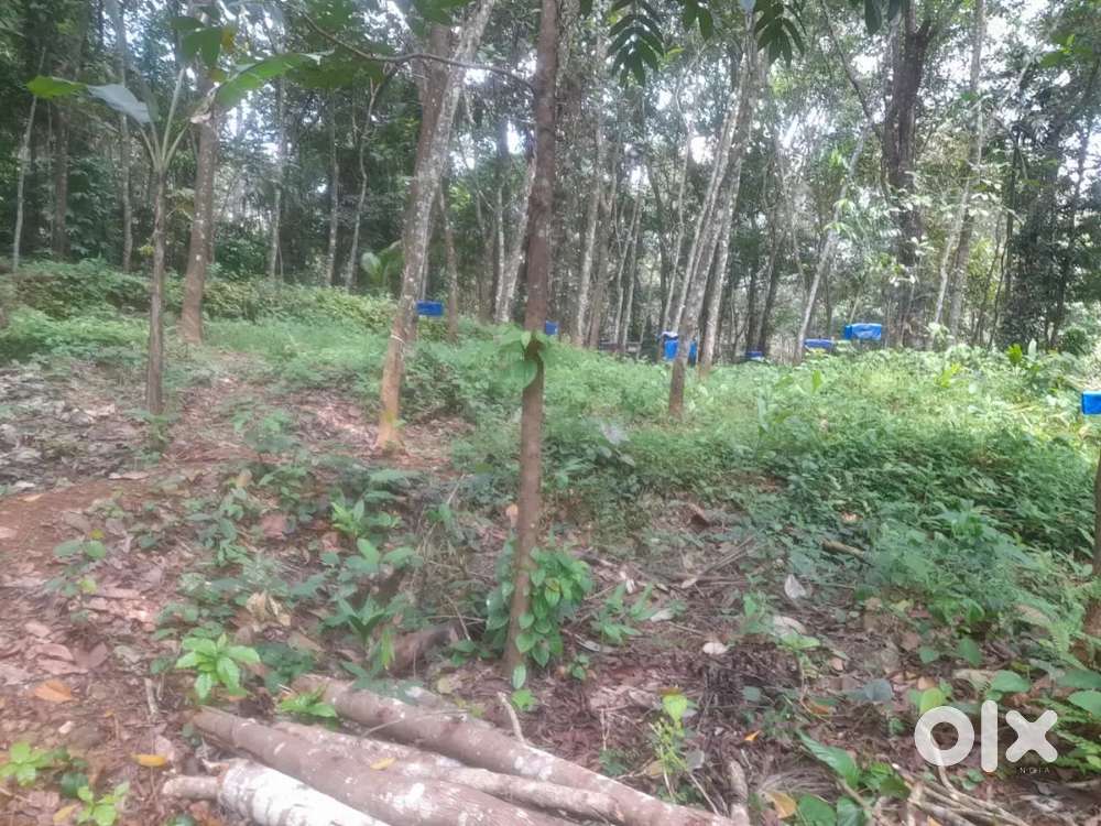 30 സെന്റ് സ്ഥലം വില്പനക്ക് പൊൻകുന്നം kseb സമീപം