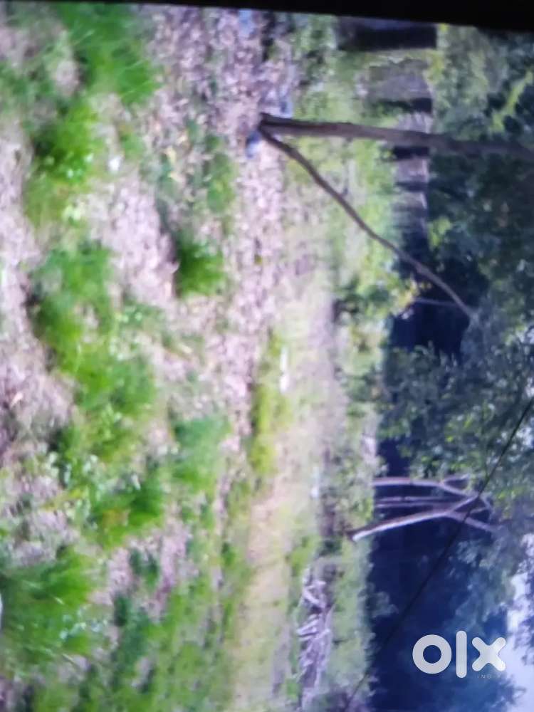 5 cent land  for sale
