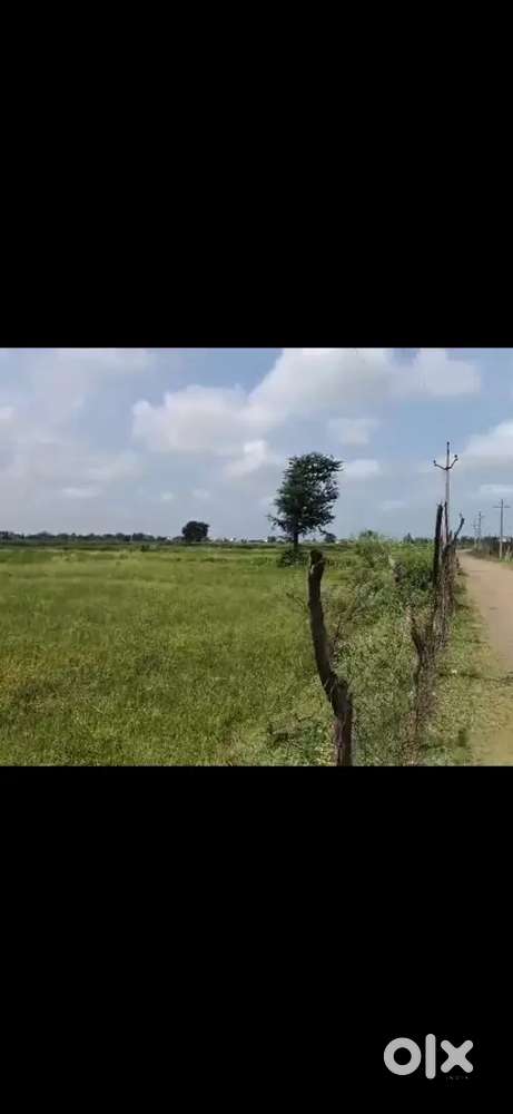 ग्राम डूमरडीह में स्थिति 45 डिसमिल कृषि भूमि बेचना है