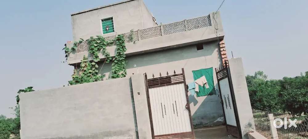 ਨਵਾਂ 2024 ਵਿਚ ਬਣਿਆ ਘਰ ਵਿਕਾਊ ਹੈ,(ਬਠਿੰਡਾ ਬਾਈਪਾਸ ,ਗੁਰੂ ਨਾਨਕ ਬਸਤੀ (ਮੁਕਤਸਰ)