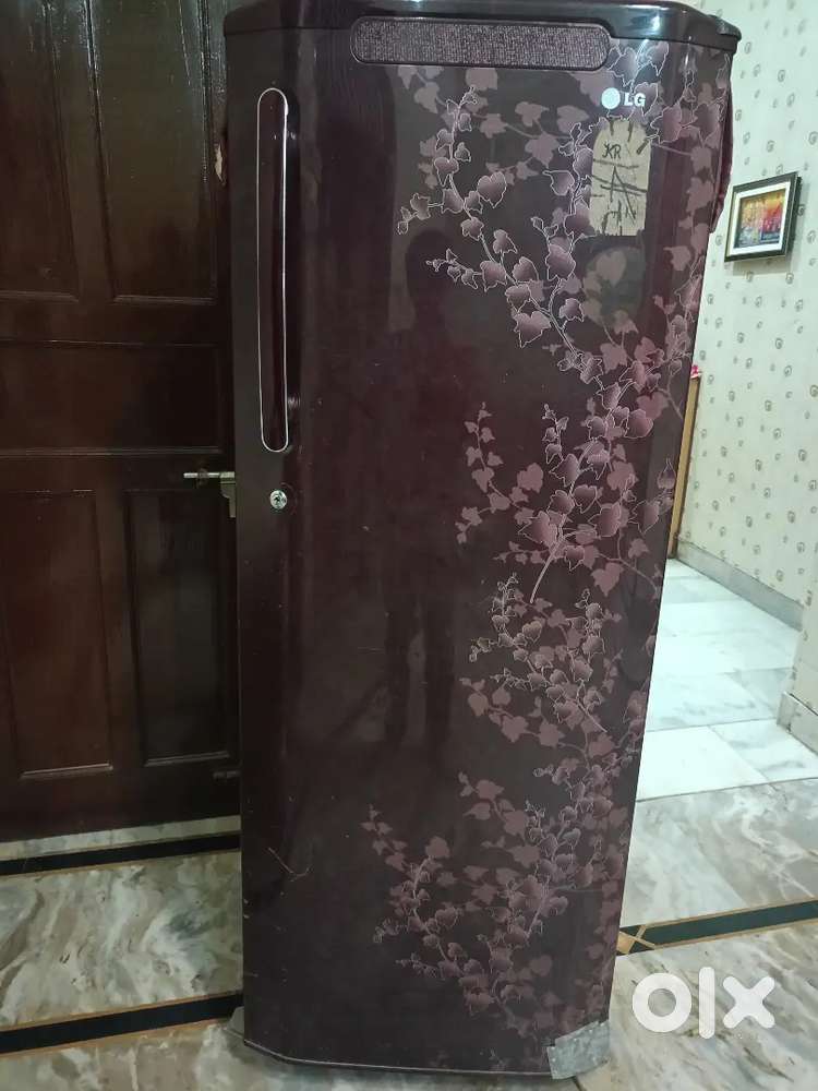 Single door fridge in good condition (LG)