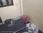 Need a Flatmate