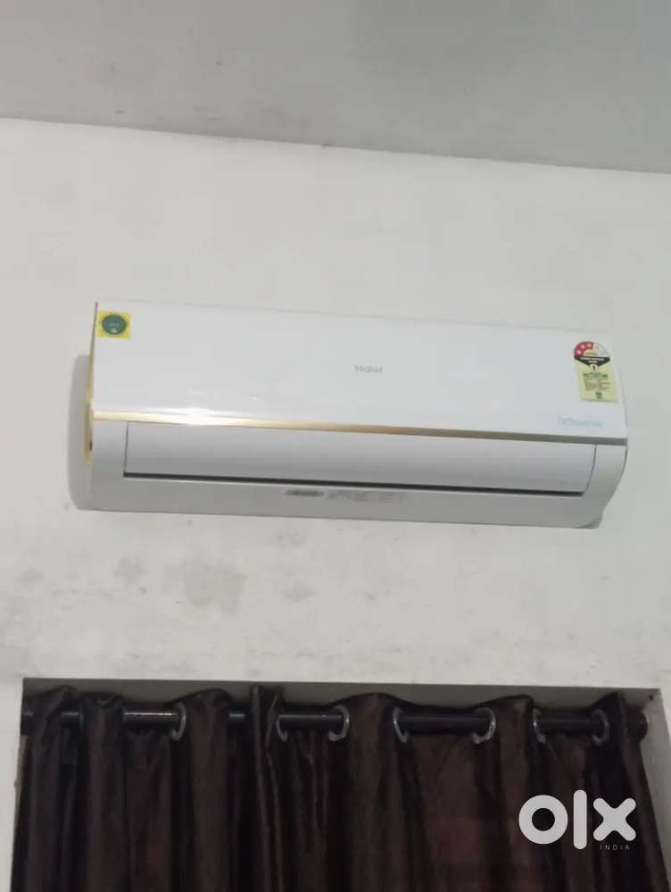 Hair  Dc inverter and