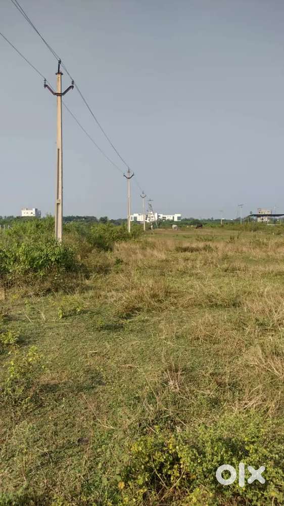 Land for sale. Kolamuru