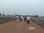 plot for sale in Kankipadu Vijayawada ORR