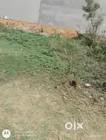 Plot for sell