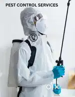 Pest control services