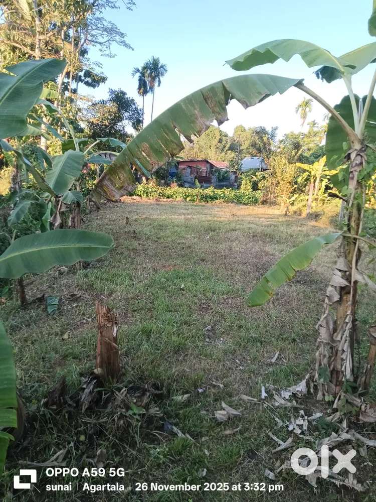 3 gonda jaiga. urgent sell money problem