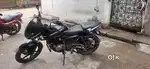 Pulsar 180 double disk