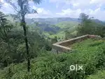 Vagamon AVT View 15 cent LA pattayam Land For Sale