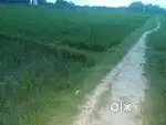 16 biswa farmer land nagar nigam me 45 lakh me plot bhi mil jayega