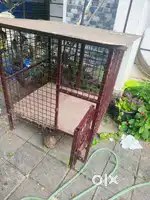 Large sized cage