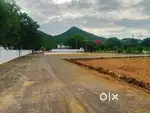Open Plots for Sale at Amaravathi Main road