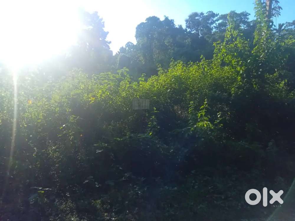 3 kattha land available for sale