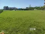 PLOTS FOR SALE JTPL SECTOR 115